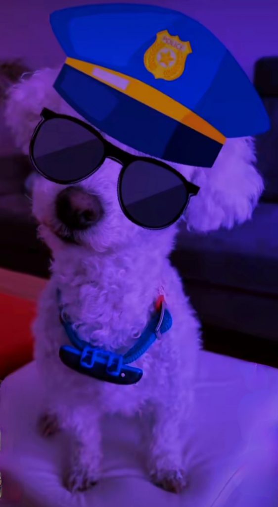 Screenshot 20231010 172640 TikTok