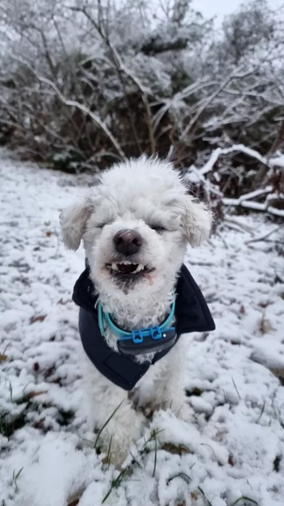 Mein Gesicht zum Winter