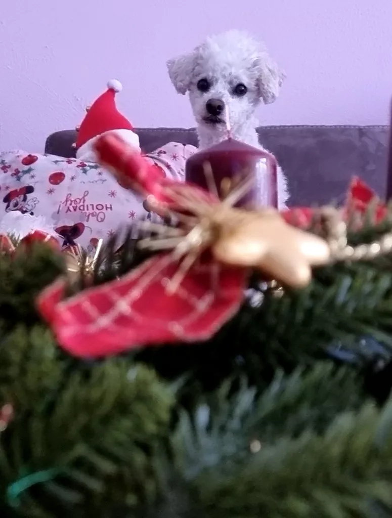 Advent