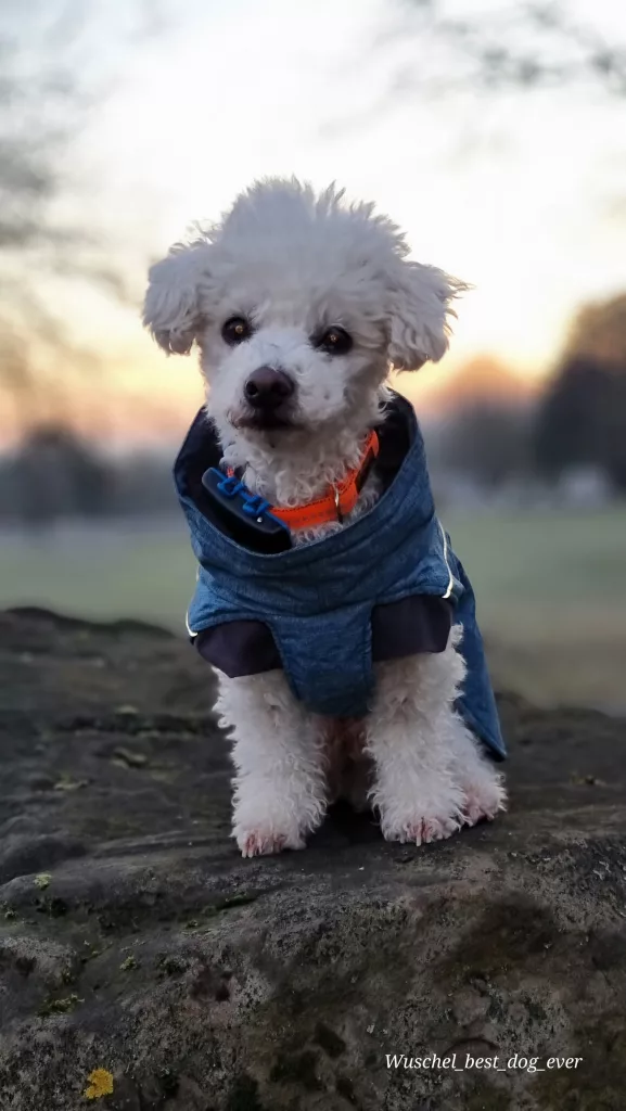 super Model