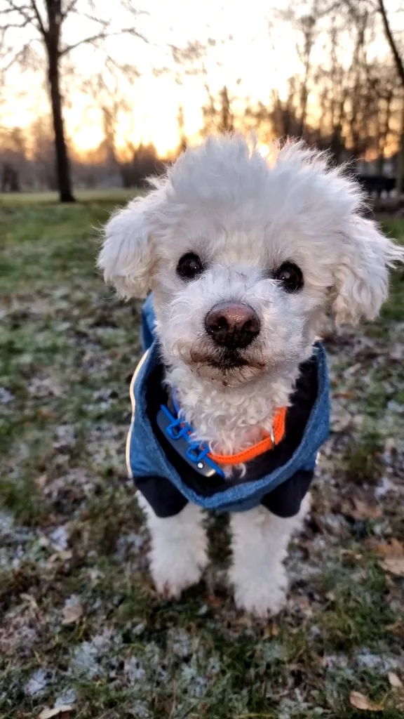 Super Model