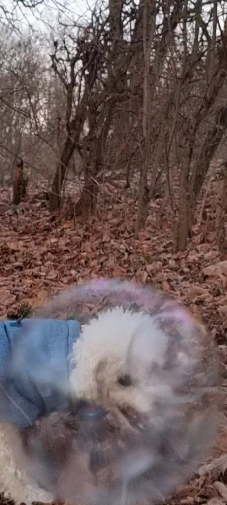 VideoCapture 20240111 130241