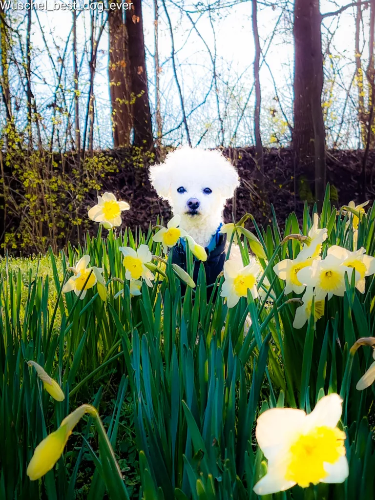 Frühling
