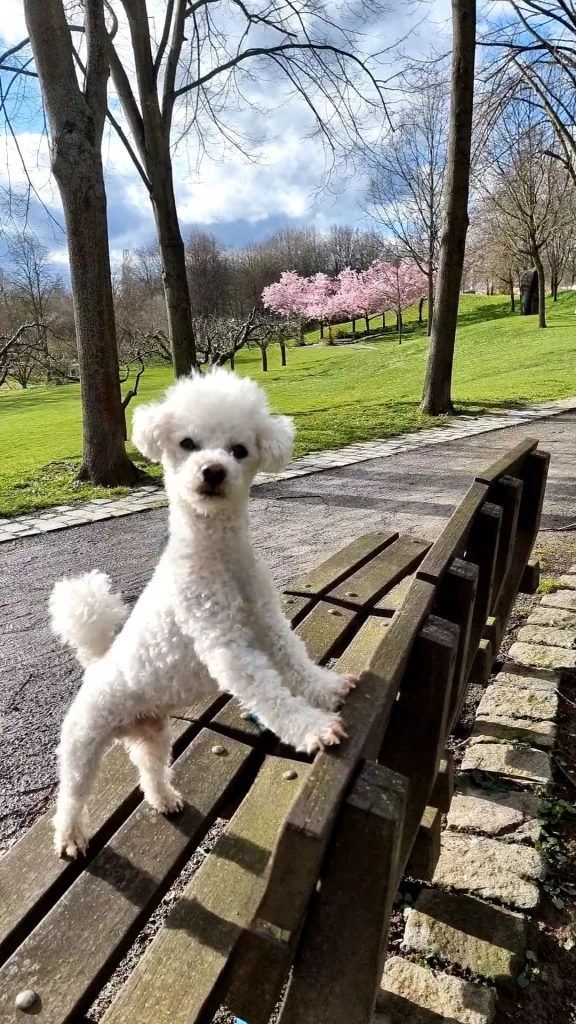 April